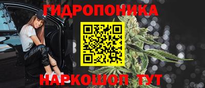 сатива Волжский