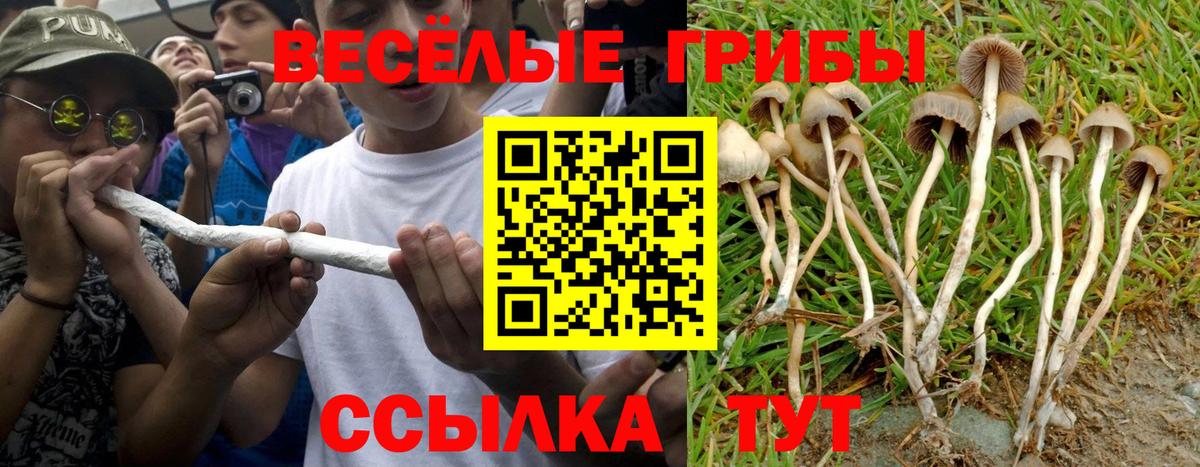Галлюциногенные грибы Magic Shrooms Назарово