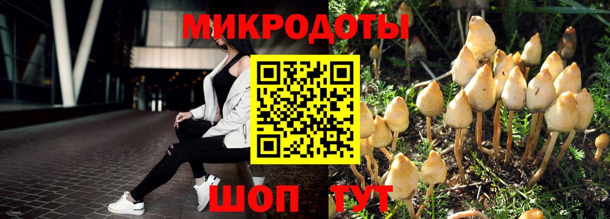 Псилоцибиновые грибы Psilocybine cubensis  Псилоцибиновые грибы Magic Shrooms  Вход с VPN  Назарово 